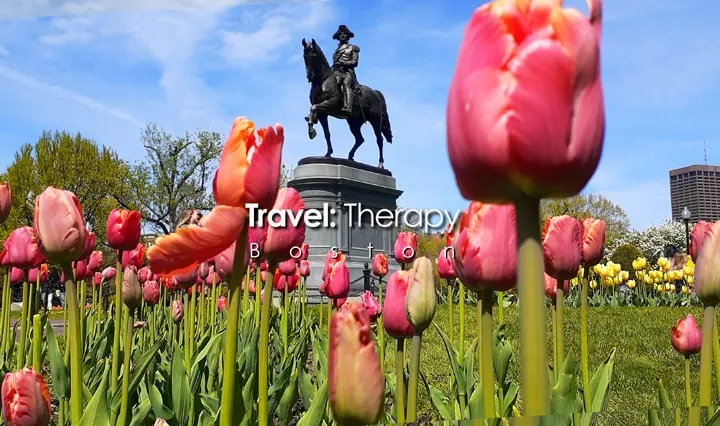 Travel: Therapy - Image 1