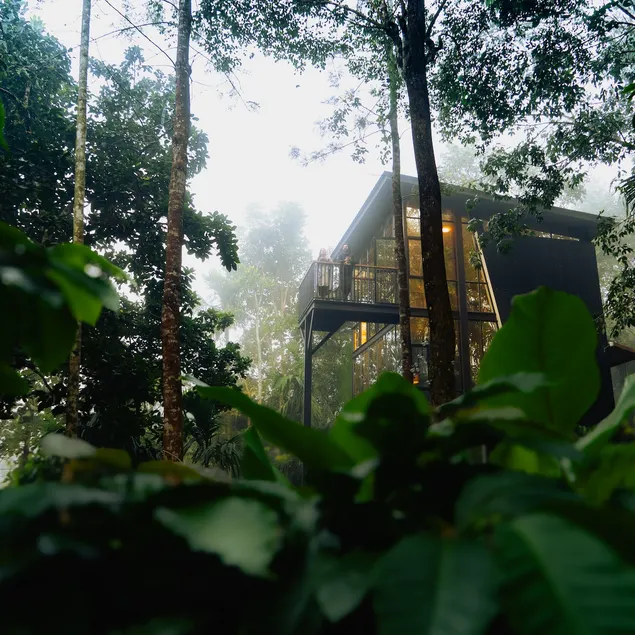 LushEarth Glass house homestay in Wayanad - Image 1