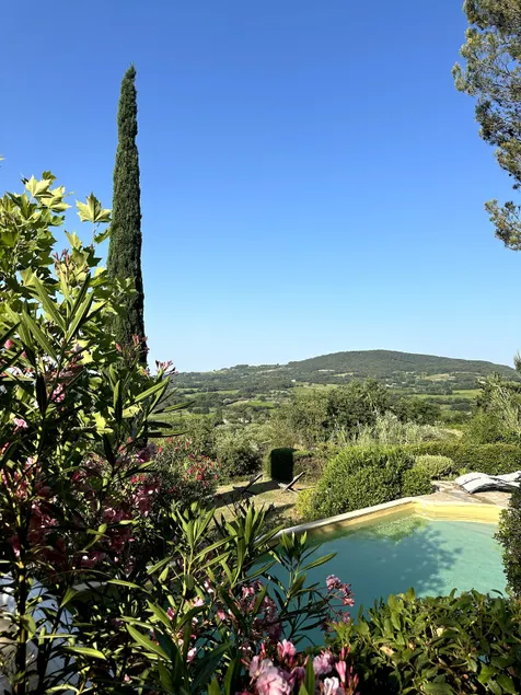 View of the Dentelles de Montmirail range - Image 1
