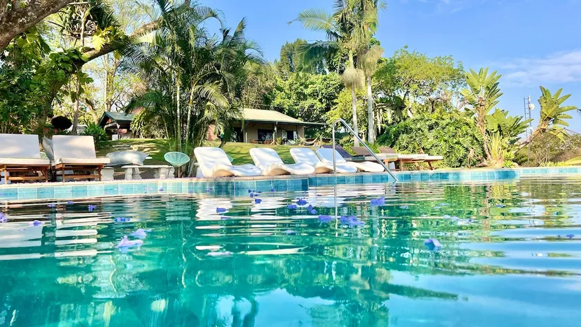 Jungle view 2 Bedroom Apartment & Infinity pool - Image 1