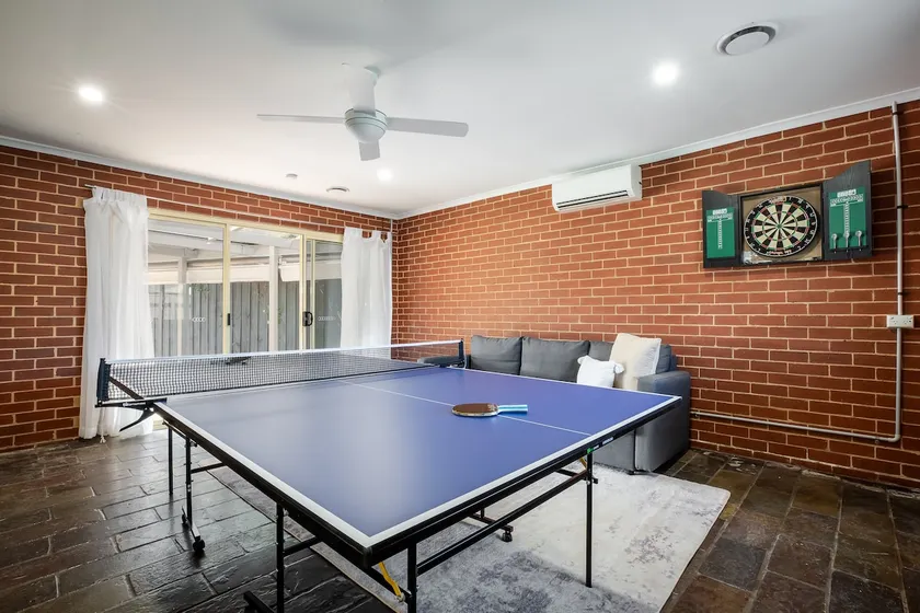 Spacious Pet Friendly Ping Pong Table - Image 1