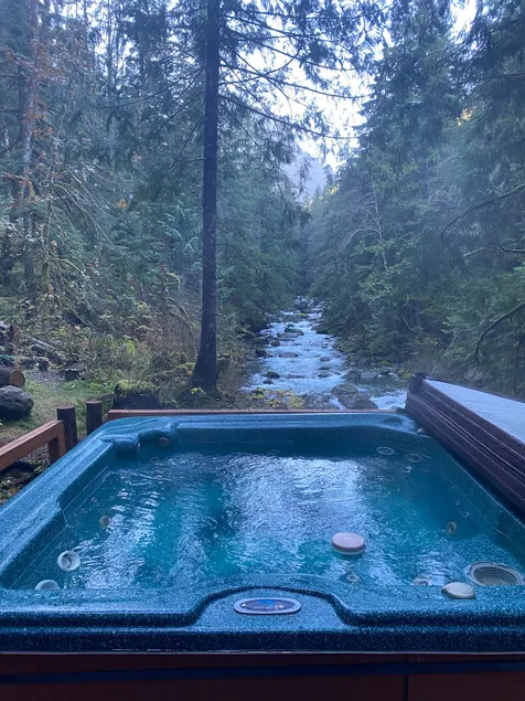 *Harmony Lodge*Secluded*Hot Tub - Image 1