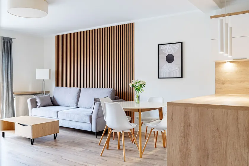 Native Apartments Barska 13 - Image 1