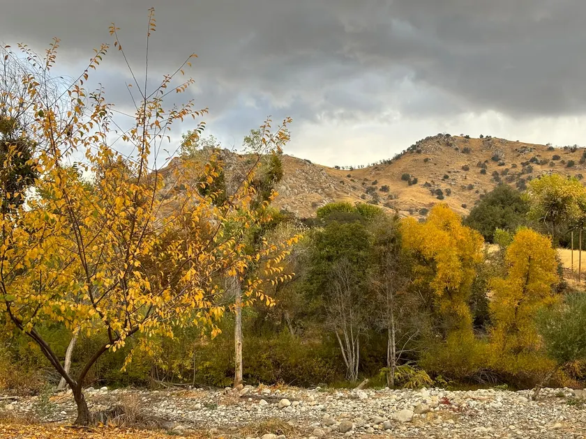 Sequoia Monument Riverfront Studio - Image 1