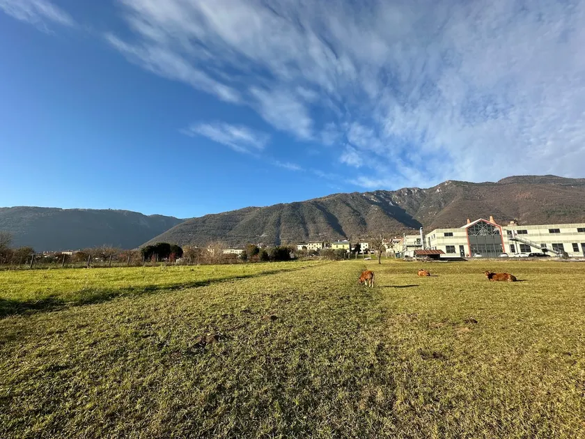 Boutique Designer Studio · Stunning Mountain Views - Image 1