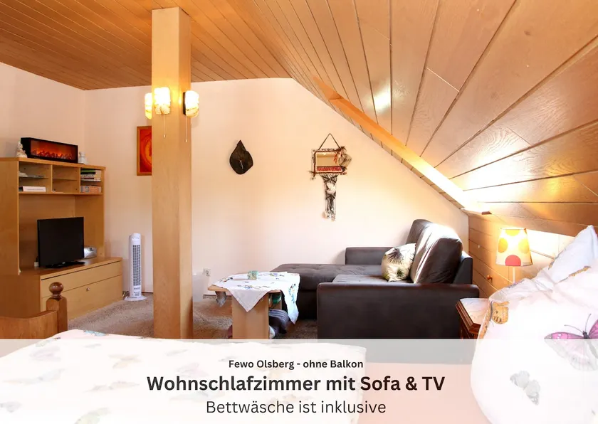 Olsberg Vacation Rental - Image 1
