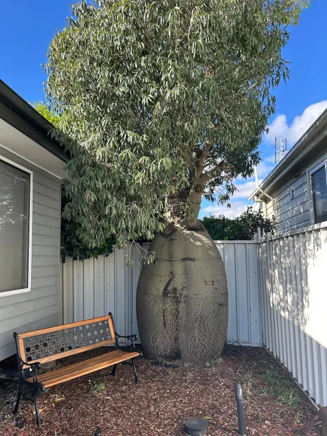 21A Boab Cottage - Image 1
