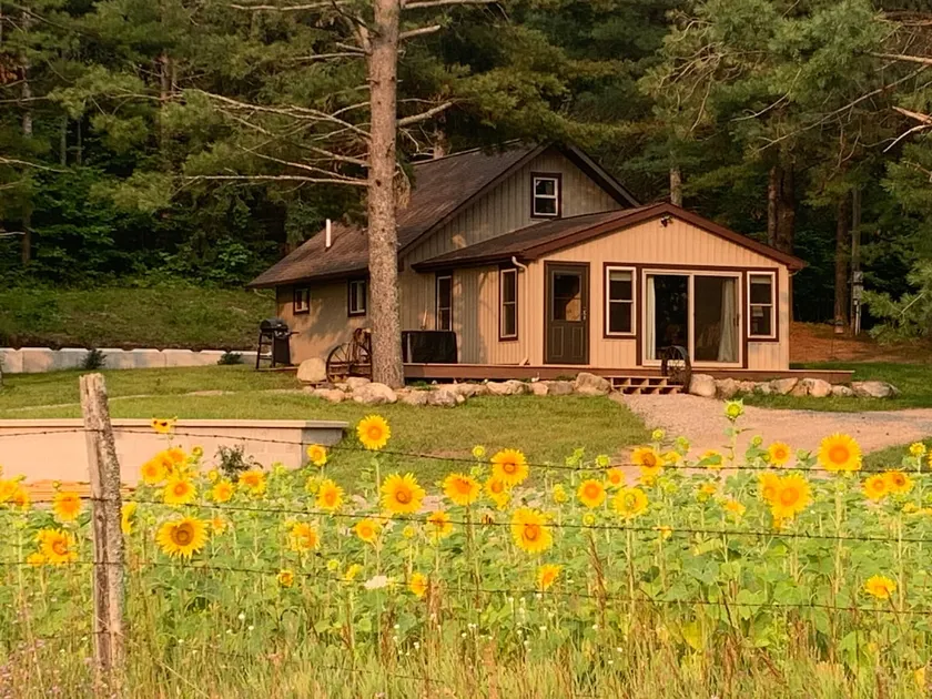 Nature Lover's Cabin - Image 1