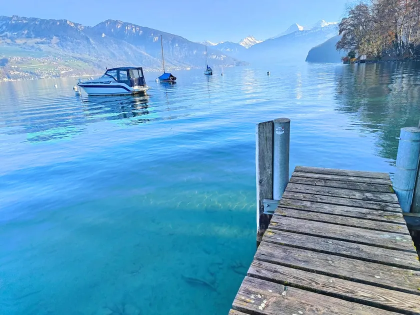 Some at Spiez 15 minutes to Interlaken - Image 1