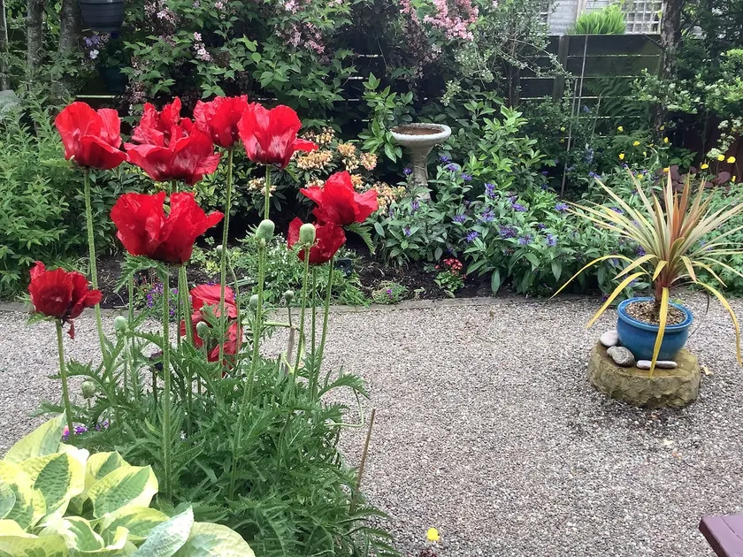 The Garden Flat - inden for nem gåafstand fra centrum af Crieff - Image 1