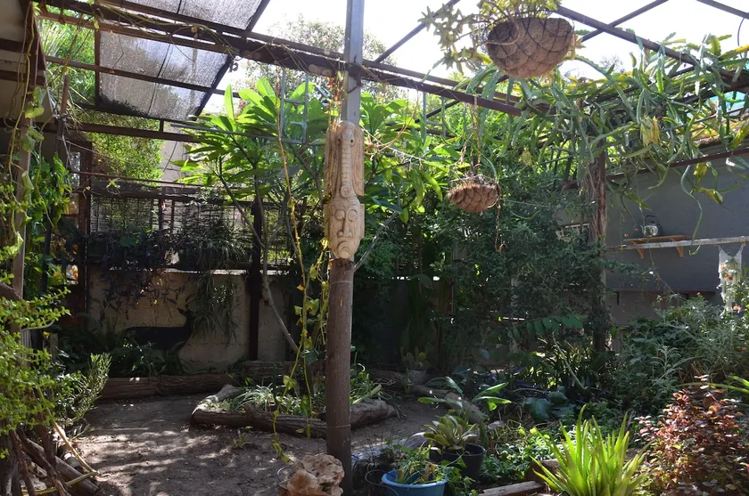 Charming Old City Apartment with Garden - Image 1