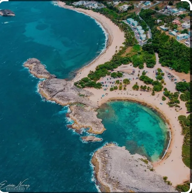The Caribbean Nest - Image 1
