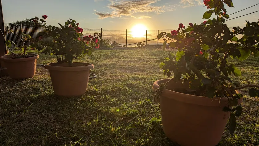 Faaa Airport Lodge - Fare Mahana - Image 1