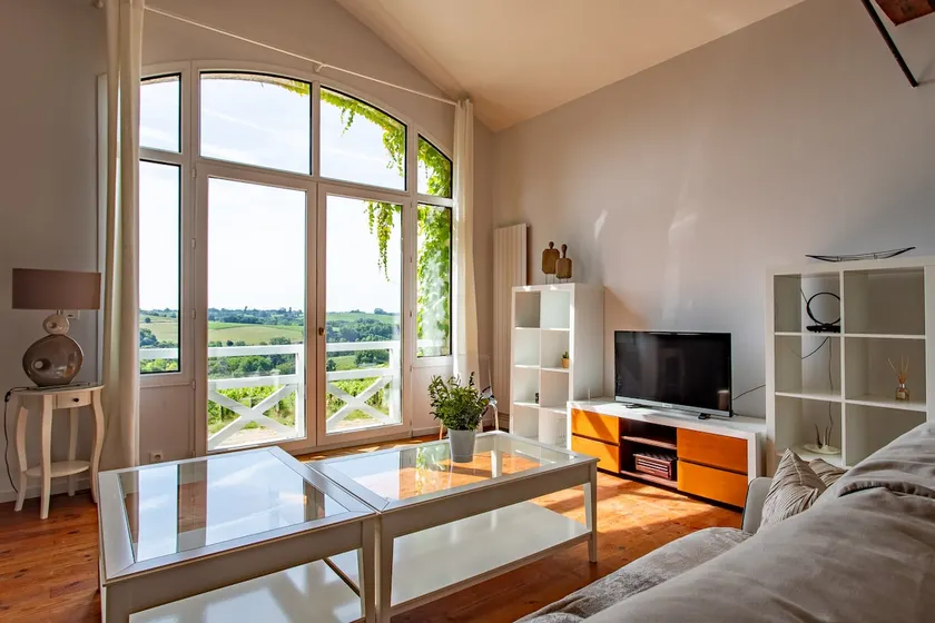 Beautiful panoramic view of the vineyards - Image 1