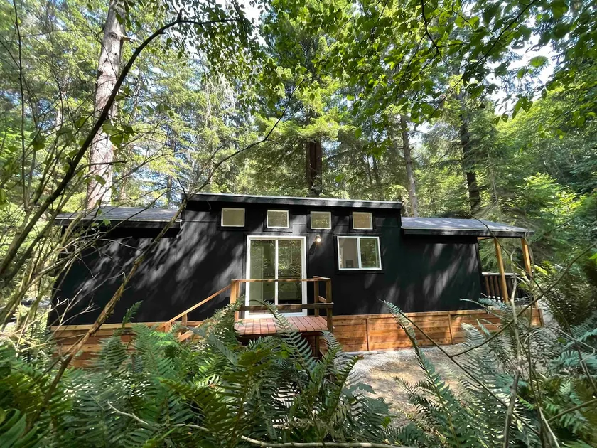 The Black Bear Cabin - Image 1