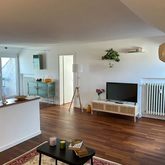 Penthouse with Terraces, BusStop 20 meters Venice - Image 1