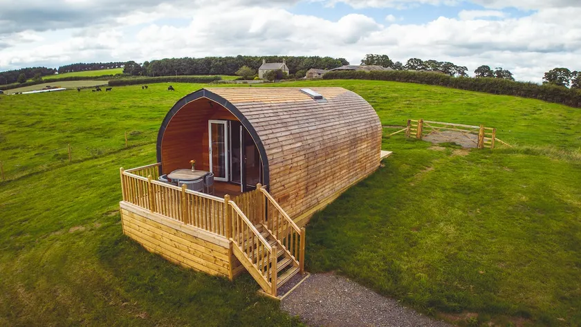 HoneyMug - Dog-Friendly, Northumberland Wilderness - Image 1