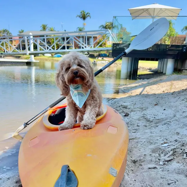 *Saltwater Villa's Studio A Free Kayaks, Pontoon - Image 1