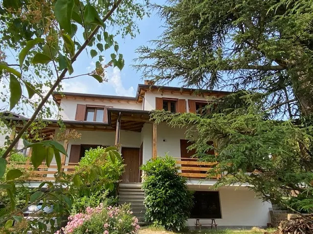 The pine garden - Image 1