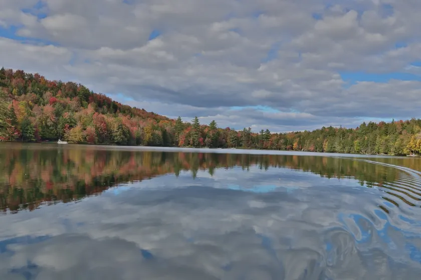 Pine Lodge White Lake - Image 1