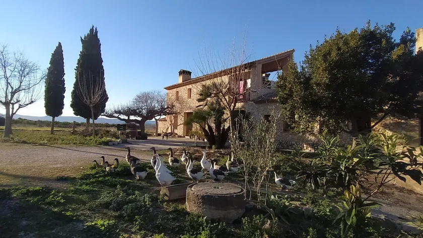 Country house + 16 people Heretat de Pere - Image 1