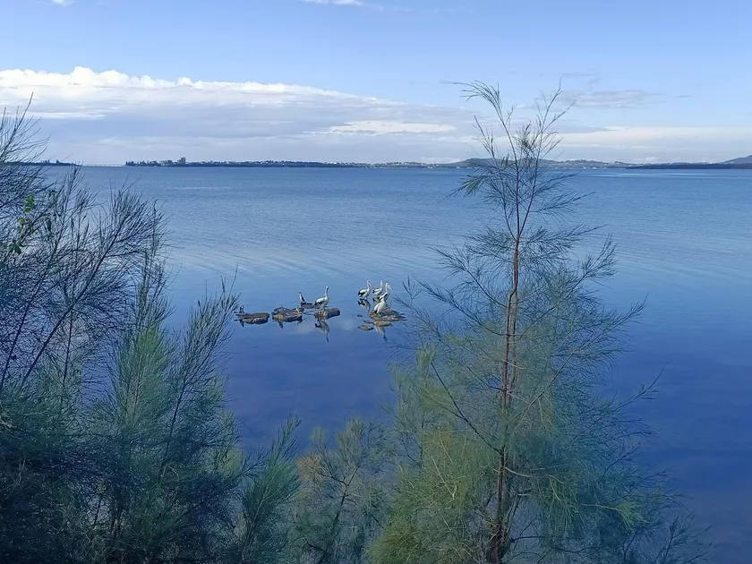 Sunrise lake house - Image 1