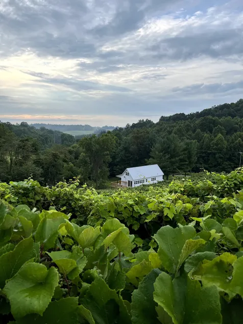 Winery Cottage - Chevalier Vineyards Hocking Hills - Image 1