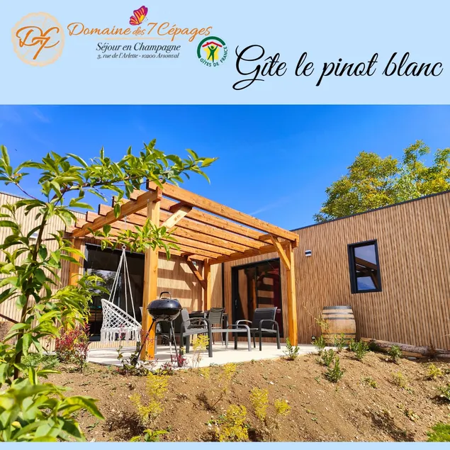 Pinot Blanc, furnished 3 stars {5 min from Nigloland} - Image 1
