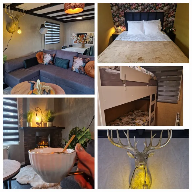 Chalet het Gouden Hert in Putten - Image 1