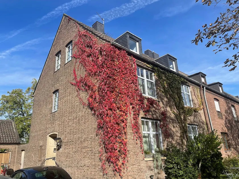 Simple apartment Chestnut - Image 1