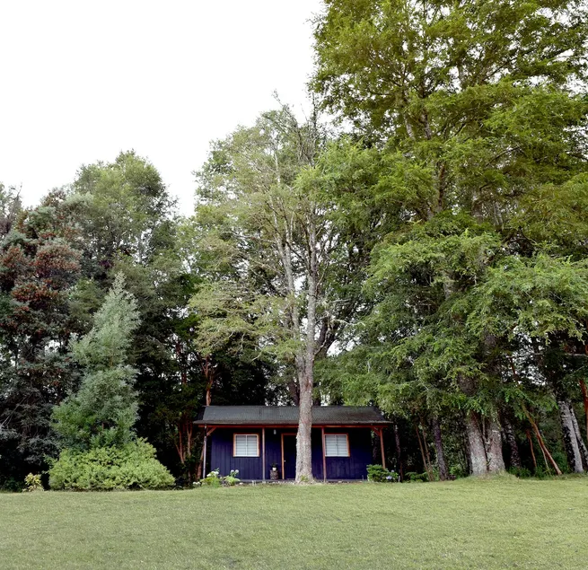 Cozy cabin nestled in Valdivian Forest - Image 1