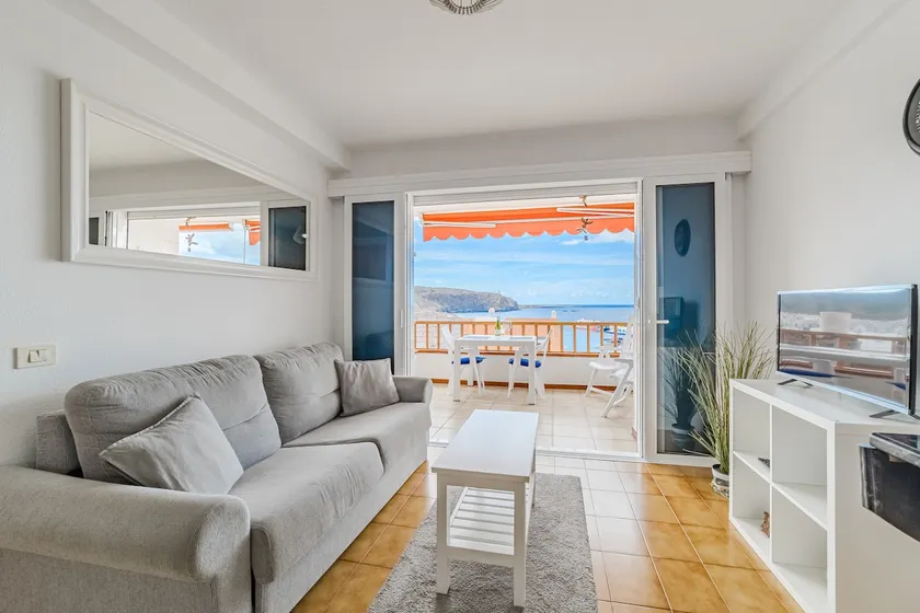 Los Cristianos near Las Vistas Beach Cactus 1 - Image 1