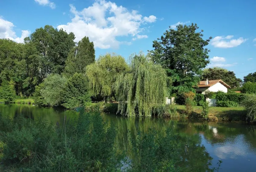 My little house by the water - Image 1