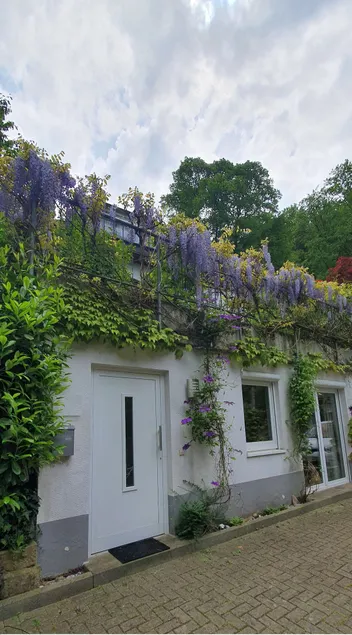 Apartment 60 sqm, close to the city, by the forest, wallbox - Image 1