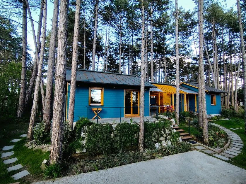 Surányi Blue Houses - Image 1