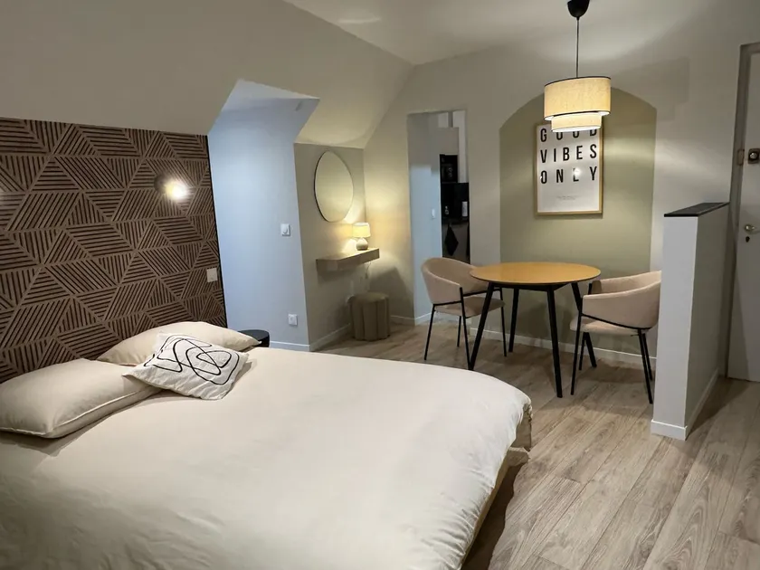 Superb Renovated Apartment at Place du Martroi - Image 1