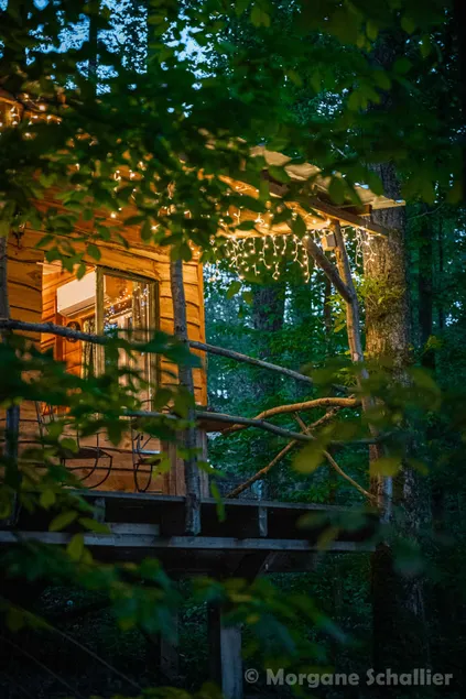 Squirrel cabin - covered terrace with forest view - Image 1