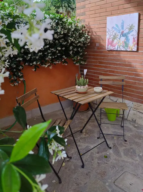 At Elisa's garden - Image 1