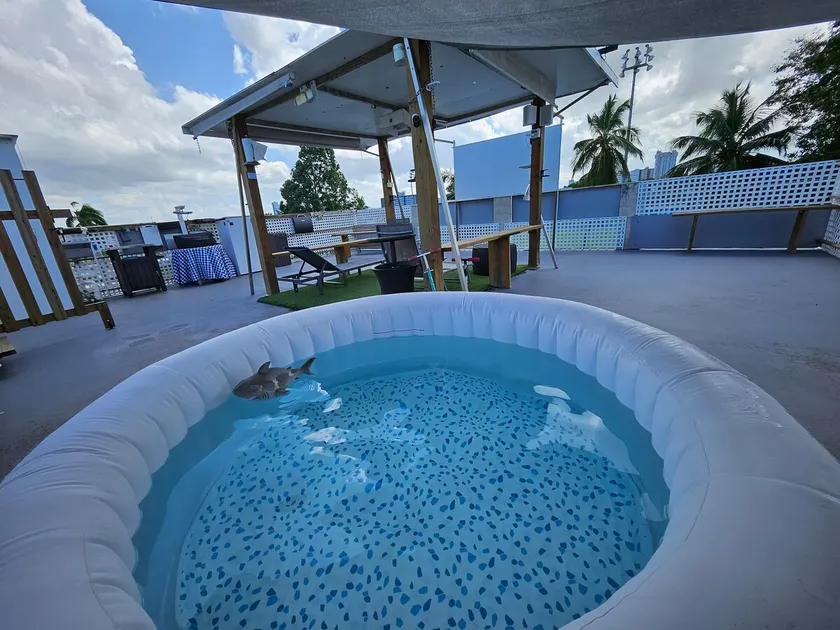 Modern Apt Black & White WithJacuzzi on Terrace 1 - Image 1