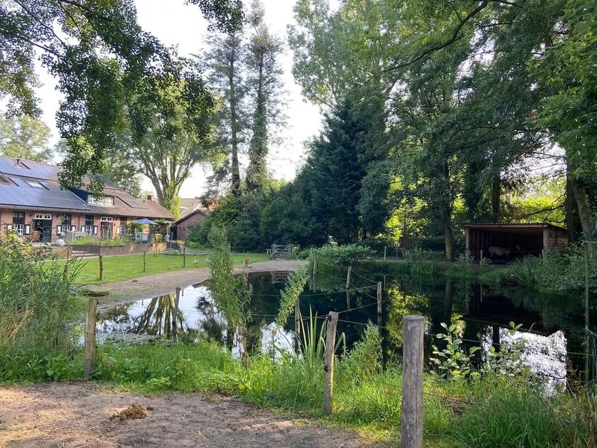 Het Loenerhof - Image 1