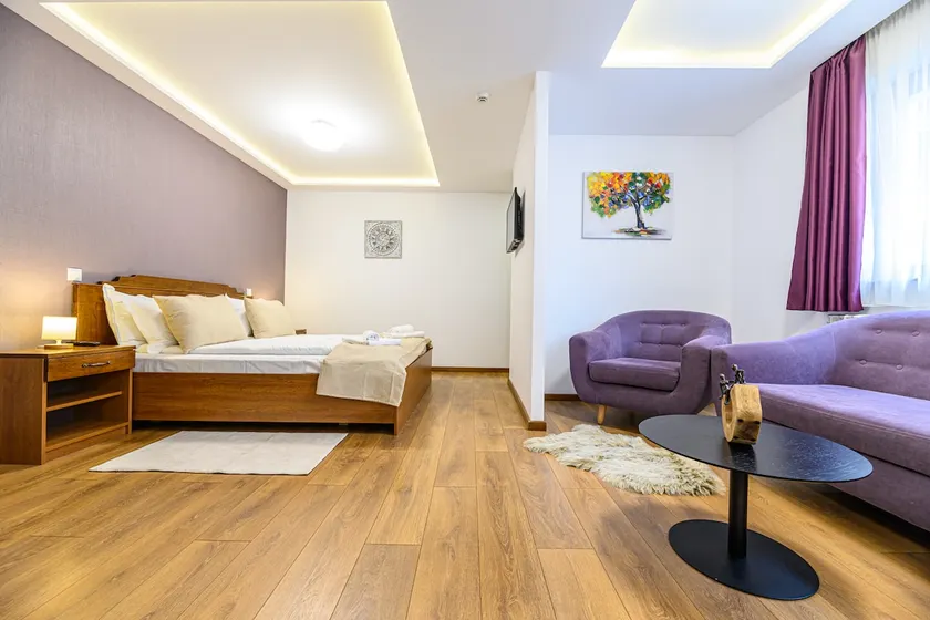 SunShine Villa Brasov - Image 1