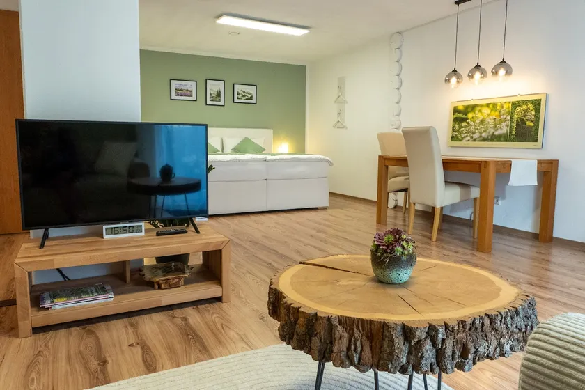Cozy 1-room apartment ”Zum Kalten Feld” - Image 1