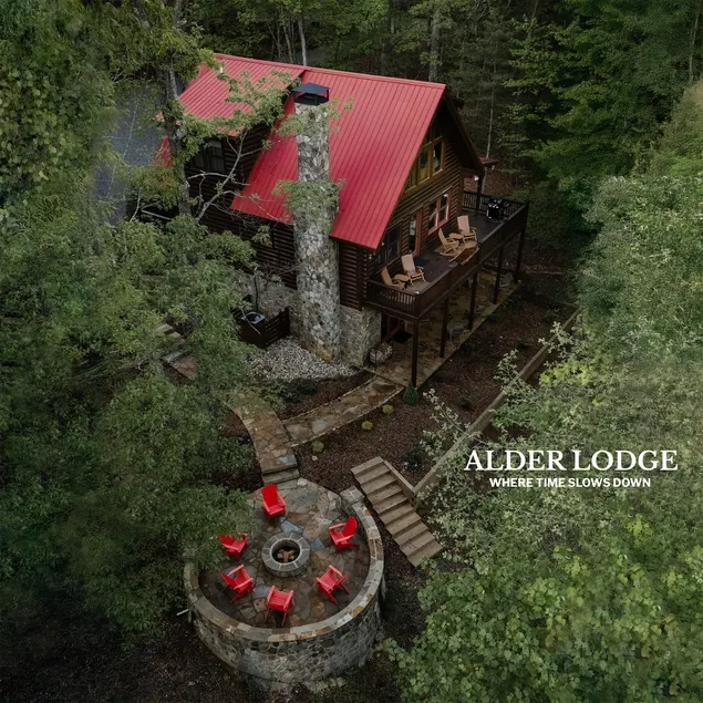 Family Retreat: Backyard, Sauna & Projector - Image 1