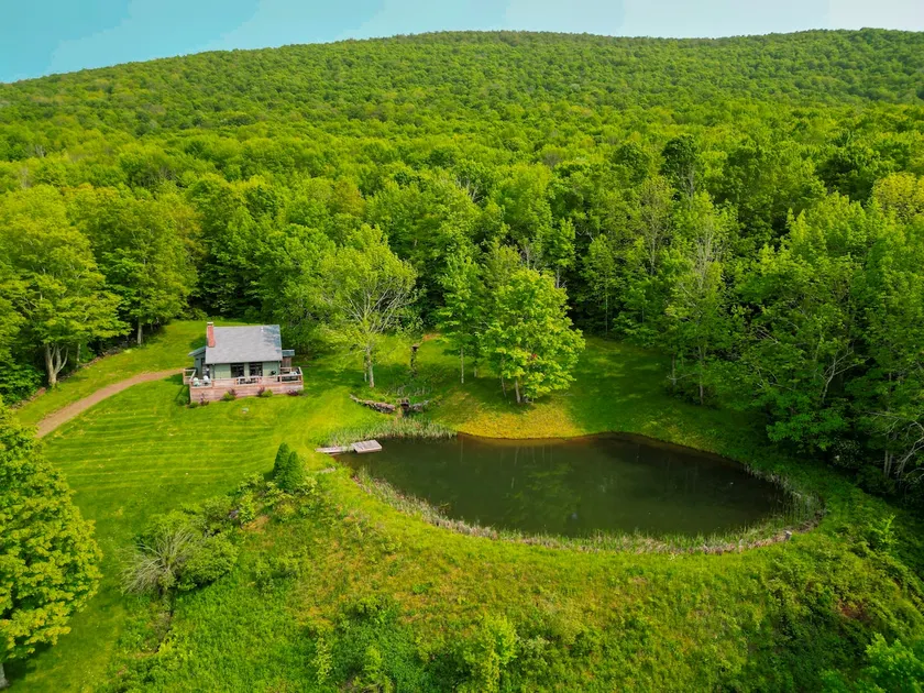 Catskills Cabin w Pond and Views - Image 1