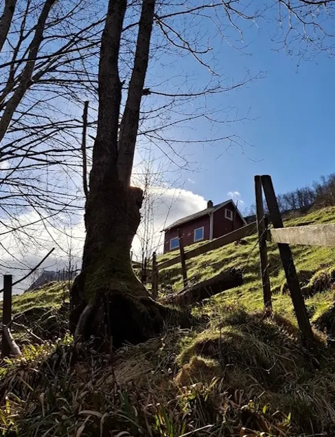 Small cabin - Image 1