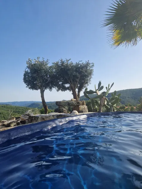 Ola Bella Vista - Image 1