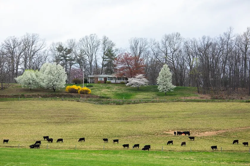 Teaberry Hill - “Million dollar view” - Image 1