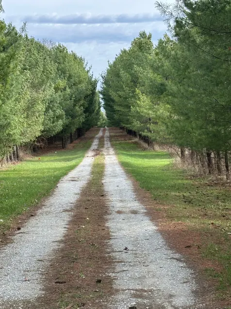Red Gate - Image 1