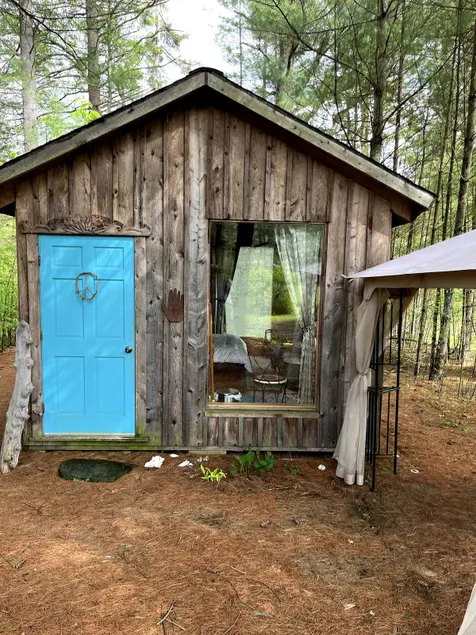 Artsy Pine Cabin in the Woods - Image 1