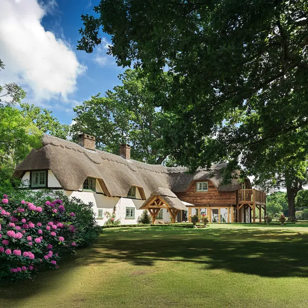 Striking Thatched house near New Forest - Image 1